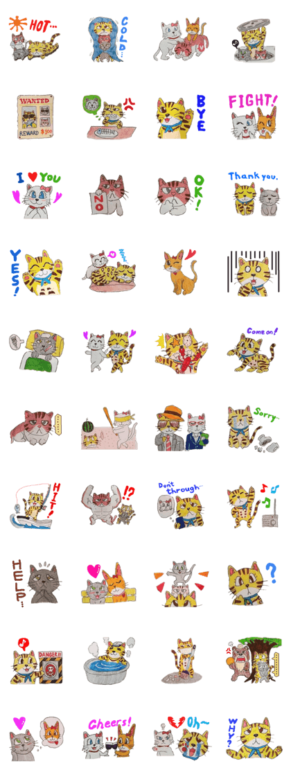Fun and cute cats
