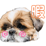 hinata_20200716133122