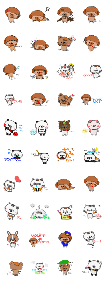 Toy poodle and lovely friends 3