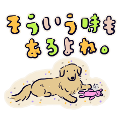 Every Day Dog Golden Retriever 2020 JP