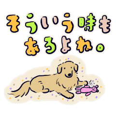 ゴールデンのスタンプ縁取り日本語版 Line スタンプ Line Store