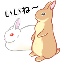 Standing ear rabbits sticker