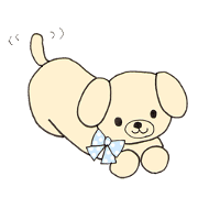Puppy's life
