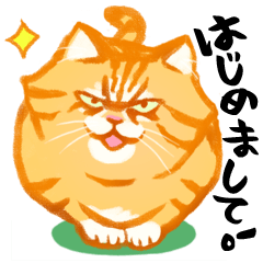 Zunzun CHATORA (Orange Tabby Cat)