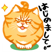Zunzun CHATORA (Orange Tabby Cat)