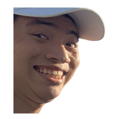 貓與馬