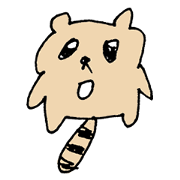 pom pom raccoon dog