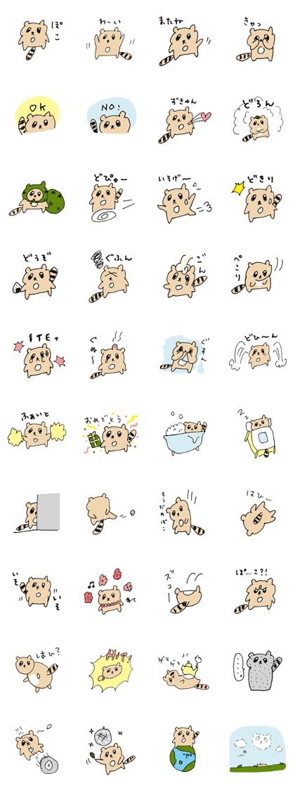 pom pom raccoon dog
