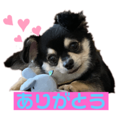 risa_20200715232013