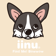 iinu - Cardigan Welsh Corgi