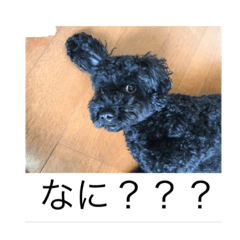 saya_20200715234534