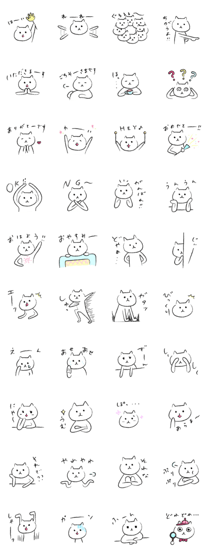 romi's cat
