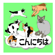 Conversation becomes a Cat