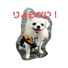 Mizuki_20200715231252