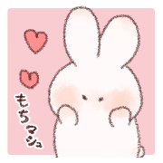 Plump rabbit!