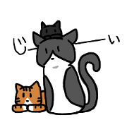 Three cats willfui every day