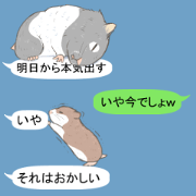 Balloon with hamster