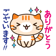 PrettyPretty cat