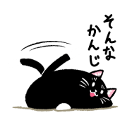 Percy of the black cat