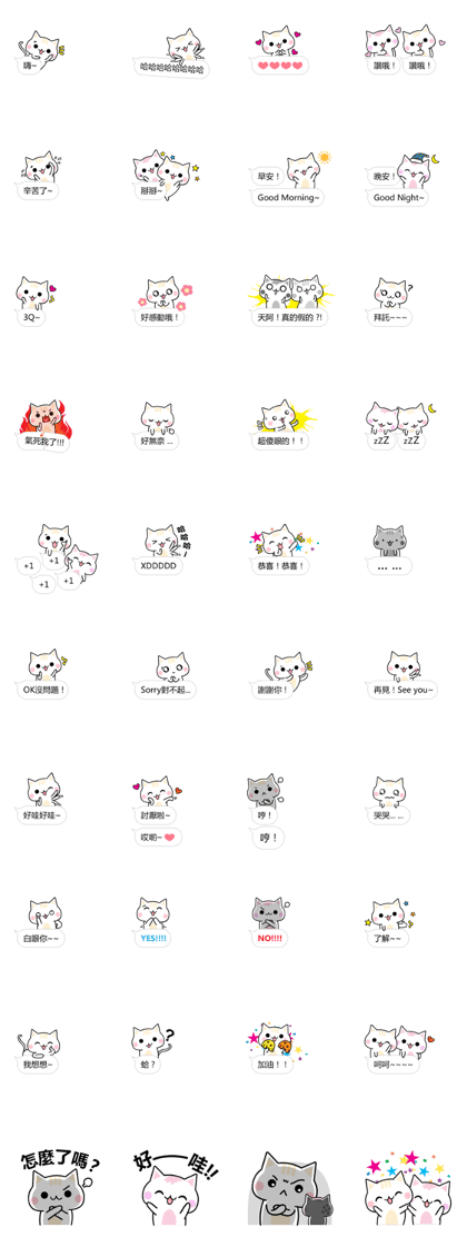 Mi Mi & Miao Miao - Daily Conversation