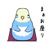 Mama Budgie