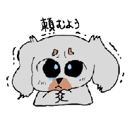 poko-chan (A miniature dachshund)