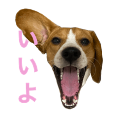 RISA_20200716181621