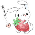 Rabbit with sweets and fruits