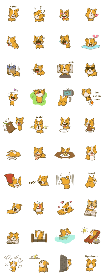 Melon the Corgi Puppy