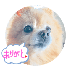 monmon_20200715222522