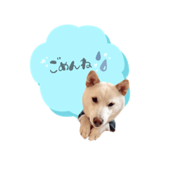 ayumi_20200716214702