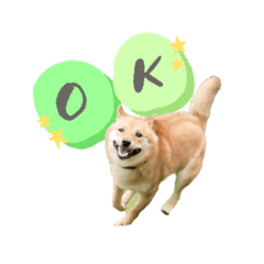 ayumi_20200716221352