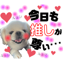 MIZUKI_20200716221130