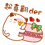 Niu Niu Cat 11