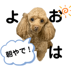 Suzu_20200716235121