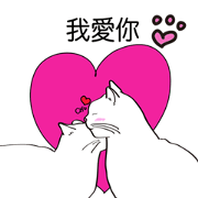 The cute gesture of cats(Chinese)