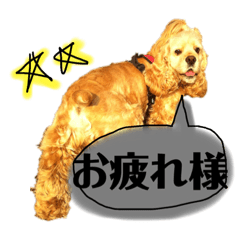 natsumi_20200717022343