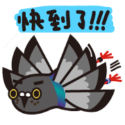 NORI PIGEON