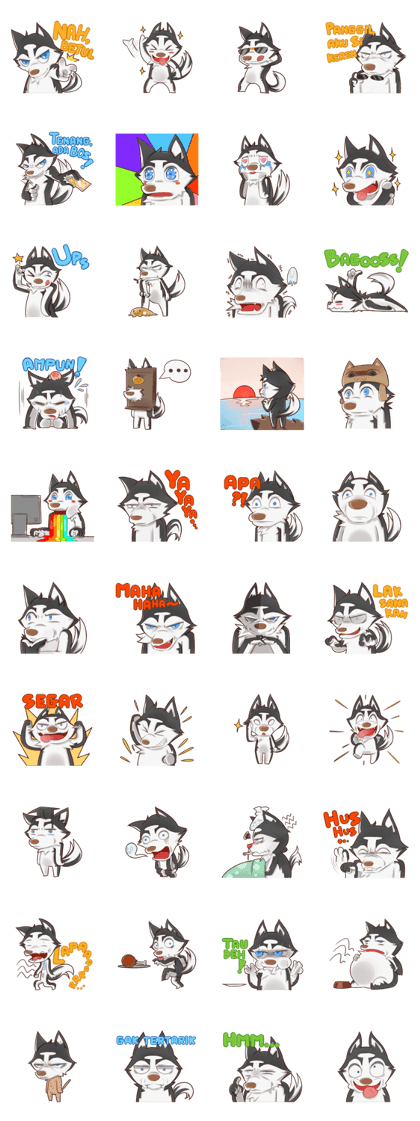 Husky Kakkoii (IND)