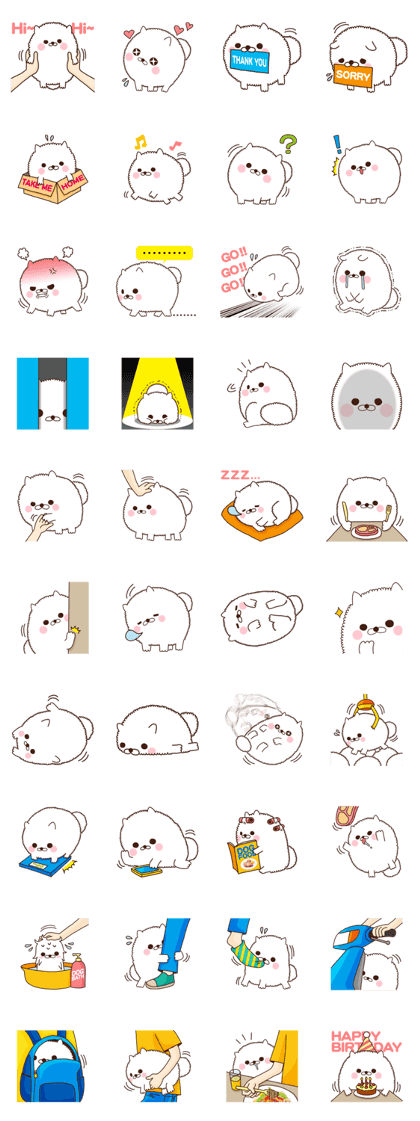 The Pomeranian : Fur Ball