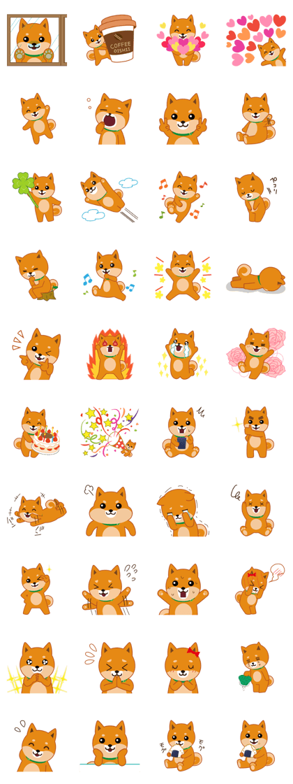 Shiba dog "MUSASHI" 7