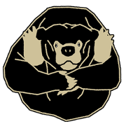 Sun bears