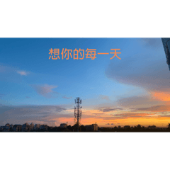 想念你的每一天