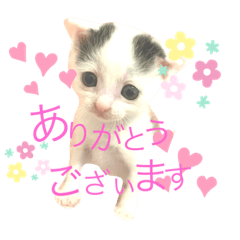 mimi_20200716171514