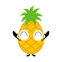 pineapple pineappoo