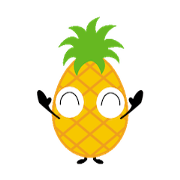 pineapple pineappoo