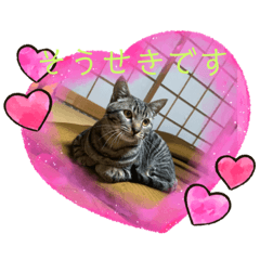 chisa_20200716141723