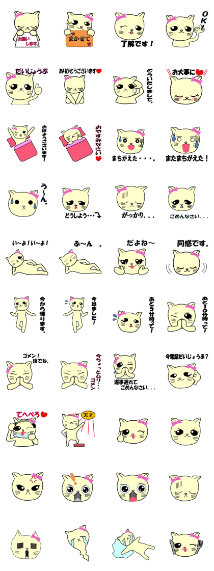 Chiara's cathy cats for Daily usage.