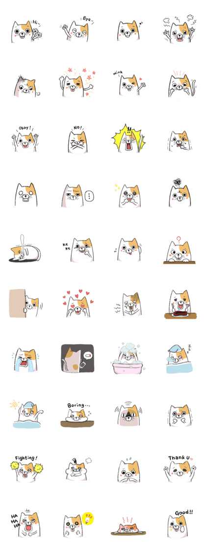 Wilful cat
