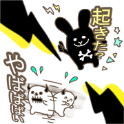 Rock rabbit,skull